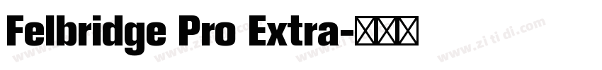 Felbridge Pro Extra字体转换 Felbridge Pro Extra字体转换
